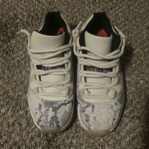 Jordan 11 snakeskins.